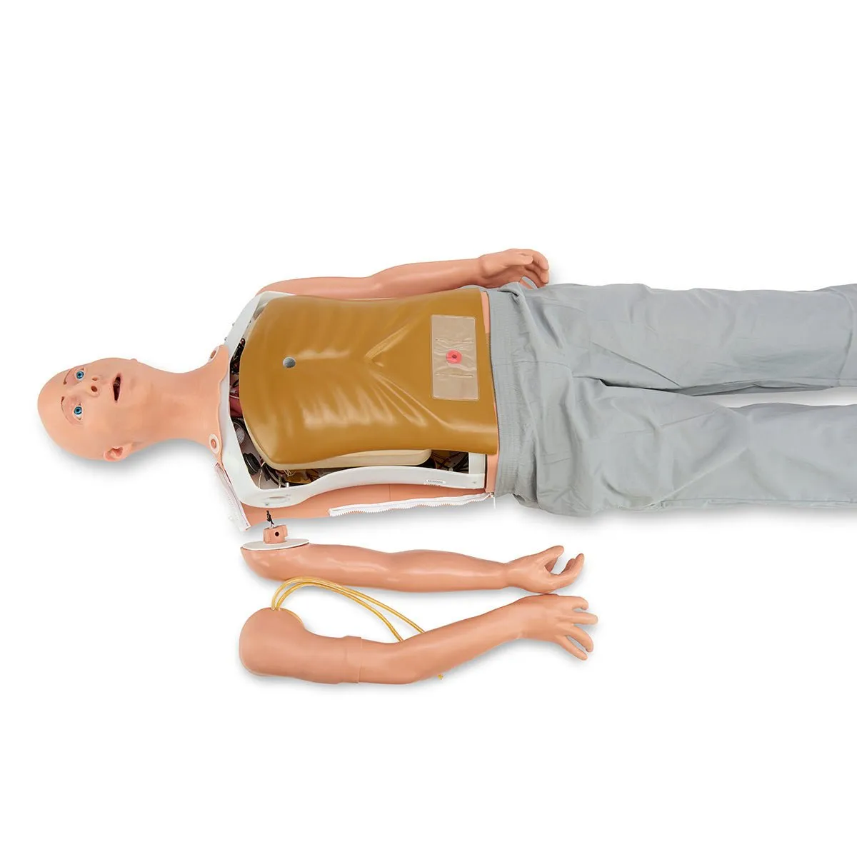 Alex LITE, Patient Simulator With Artificial Intelligence Voice Responses
