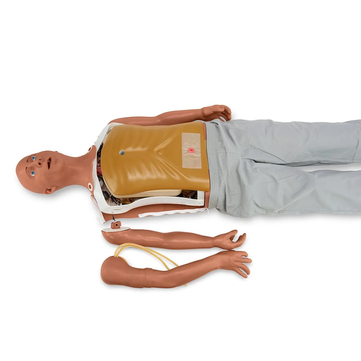 Alex LITE, Patient Simulator With Artificial Intelligence Voice Responses