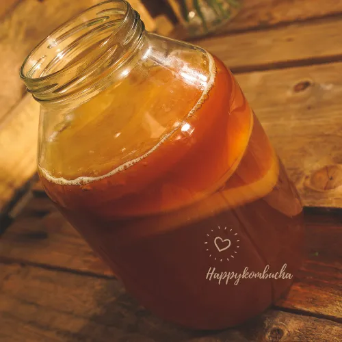 Beginners Kombucha starter kit