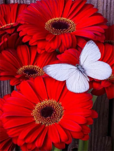 Colored Flower Variety | Floral Diamond Painting | Full Square Drill 5D Rhinestone Embroidery | DIY Diamond Kit