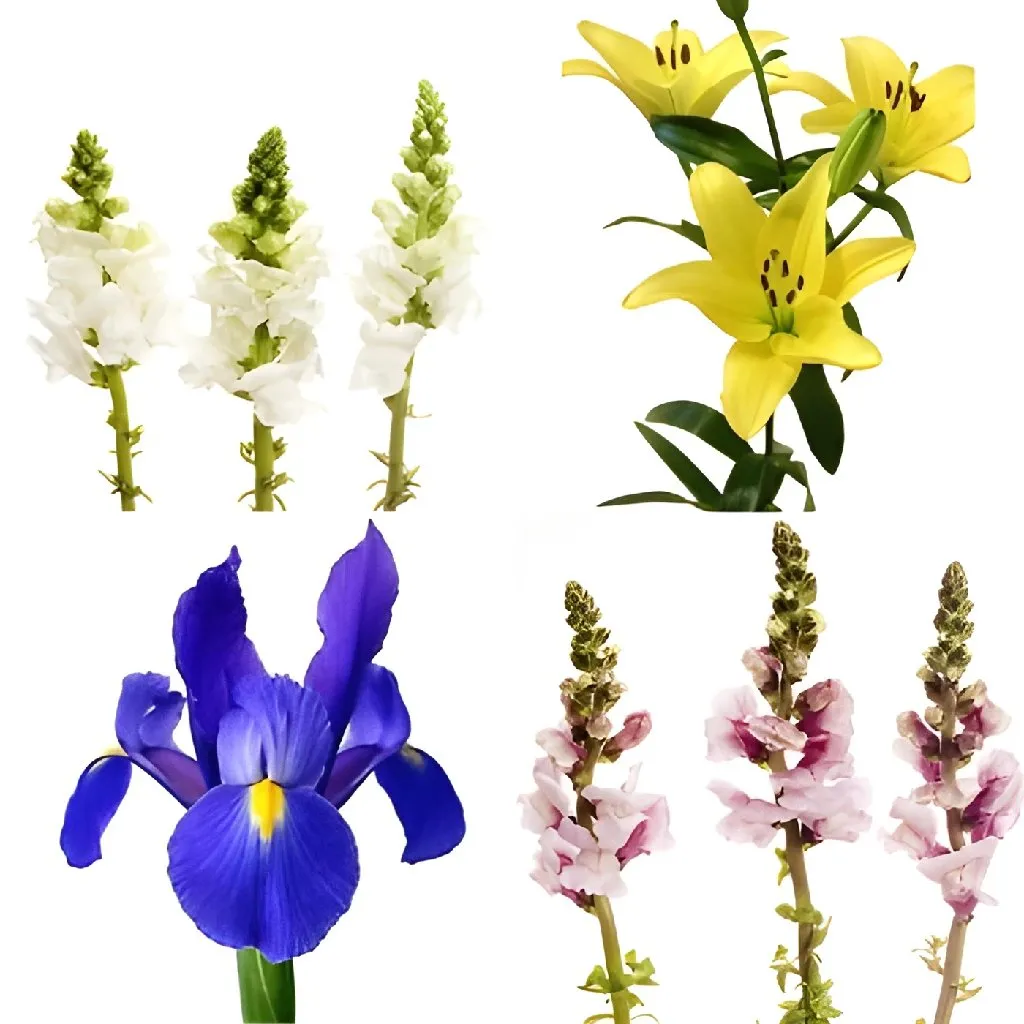 Fresh Mixed Spring DIY Flower Kit