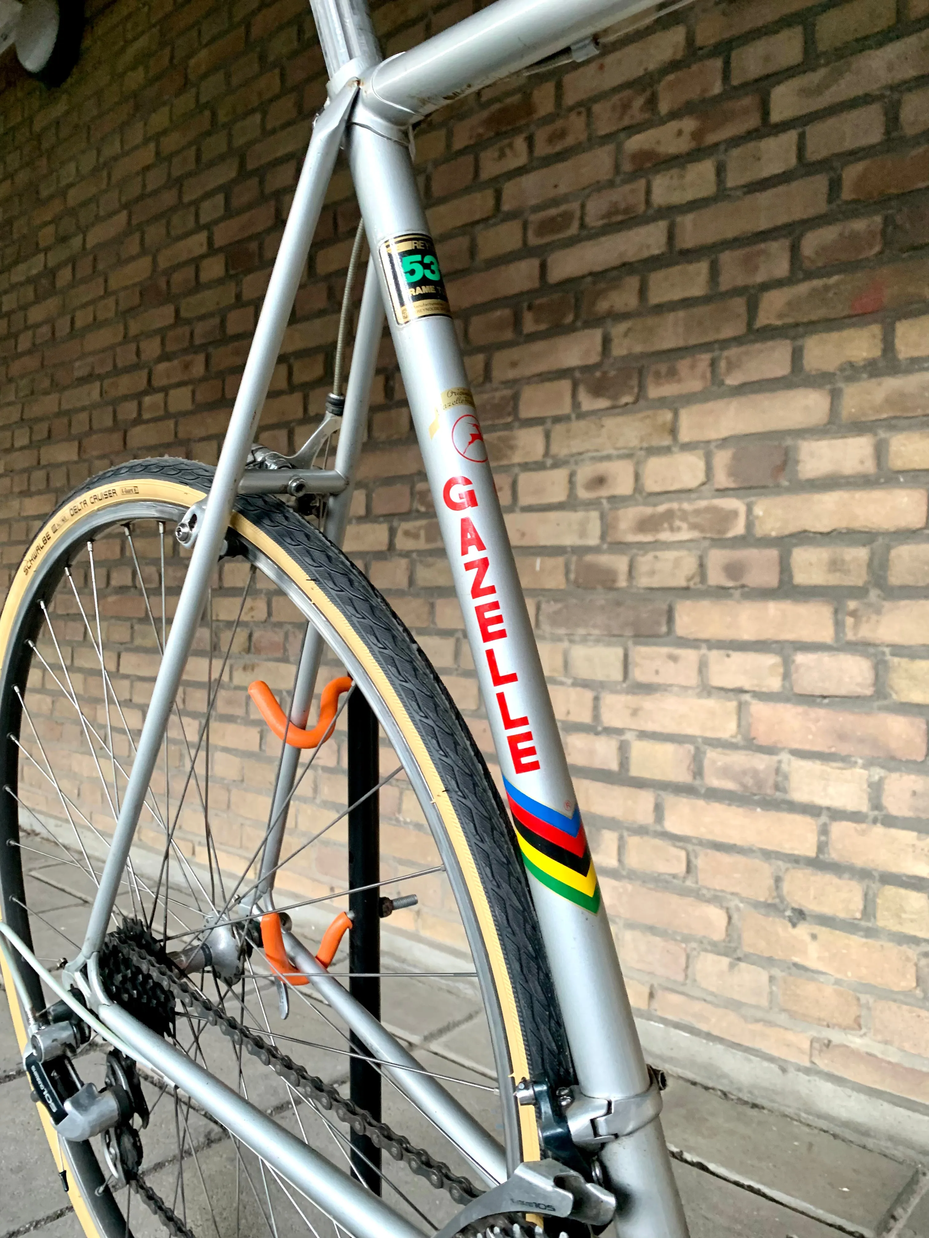 Gazelle Race Trophy 60 cm Shimano 105