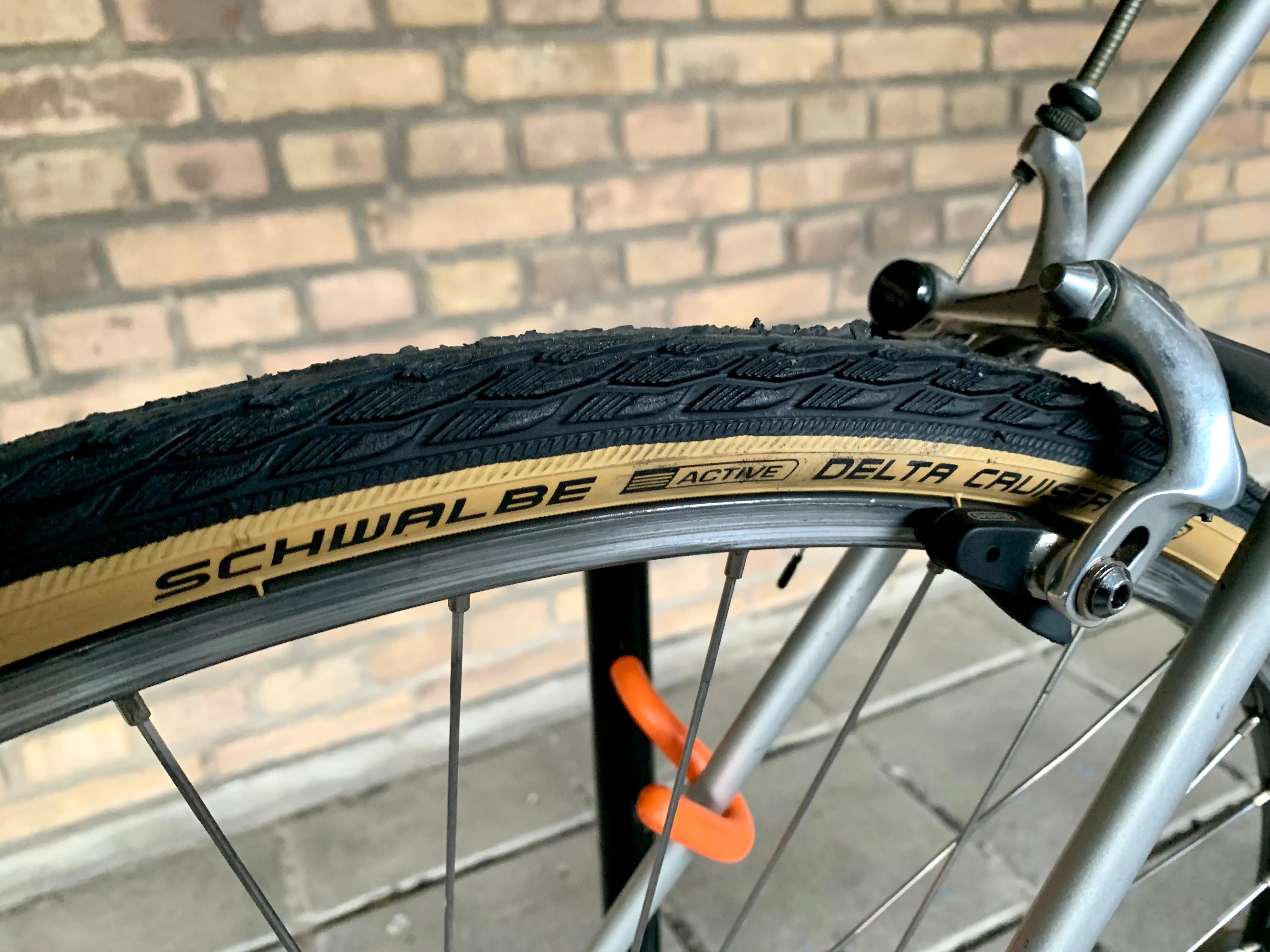 Gazelle Race Trophy 60 cm Shimano 105