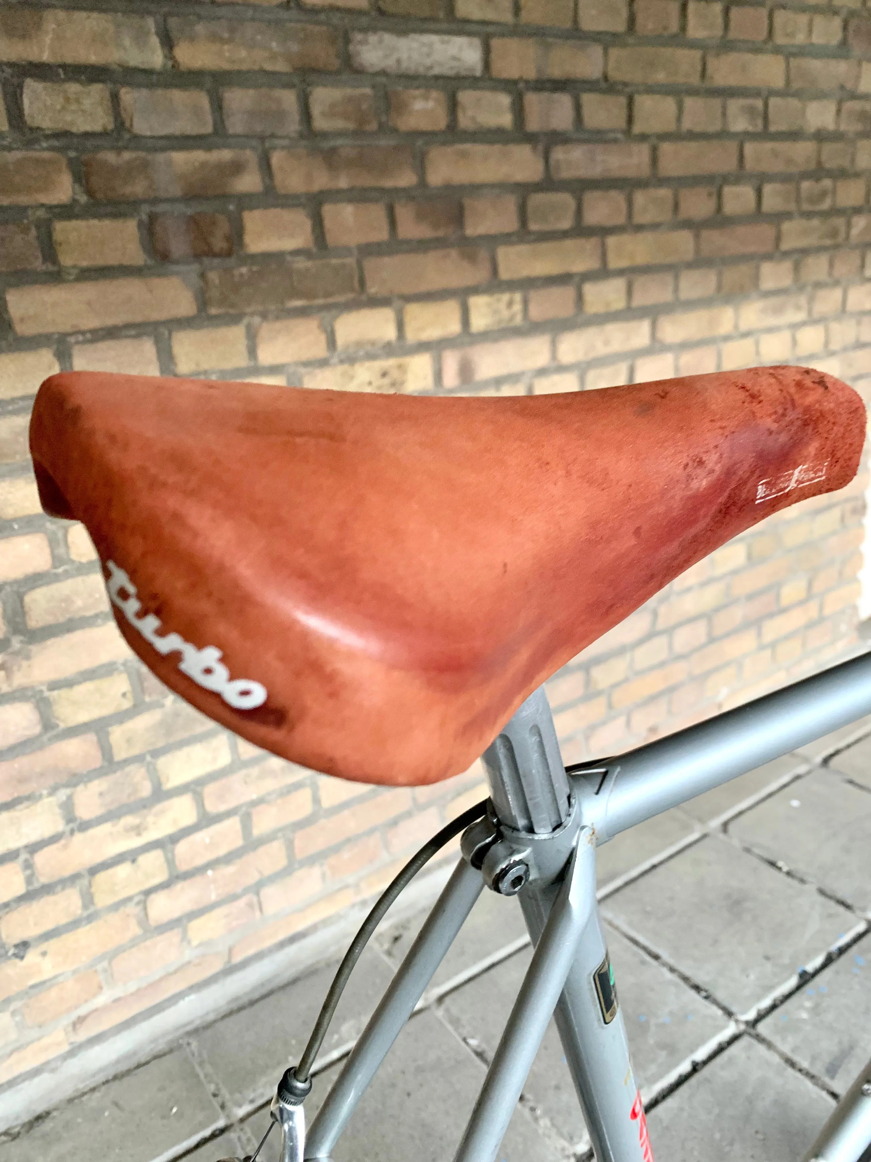 Gazelle Race Trophy 60 cm Shimano 105