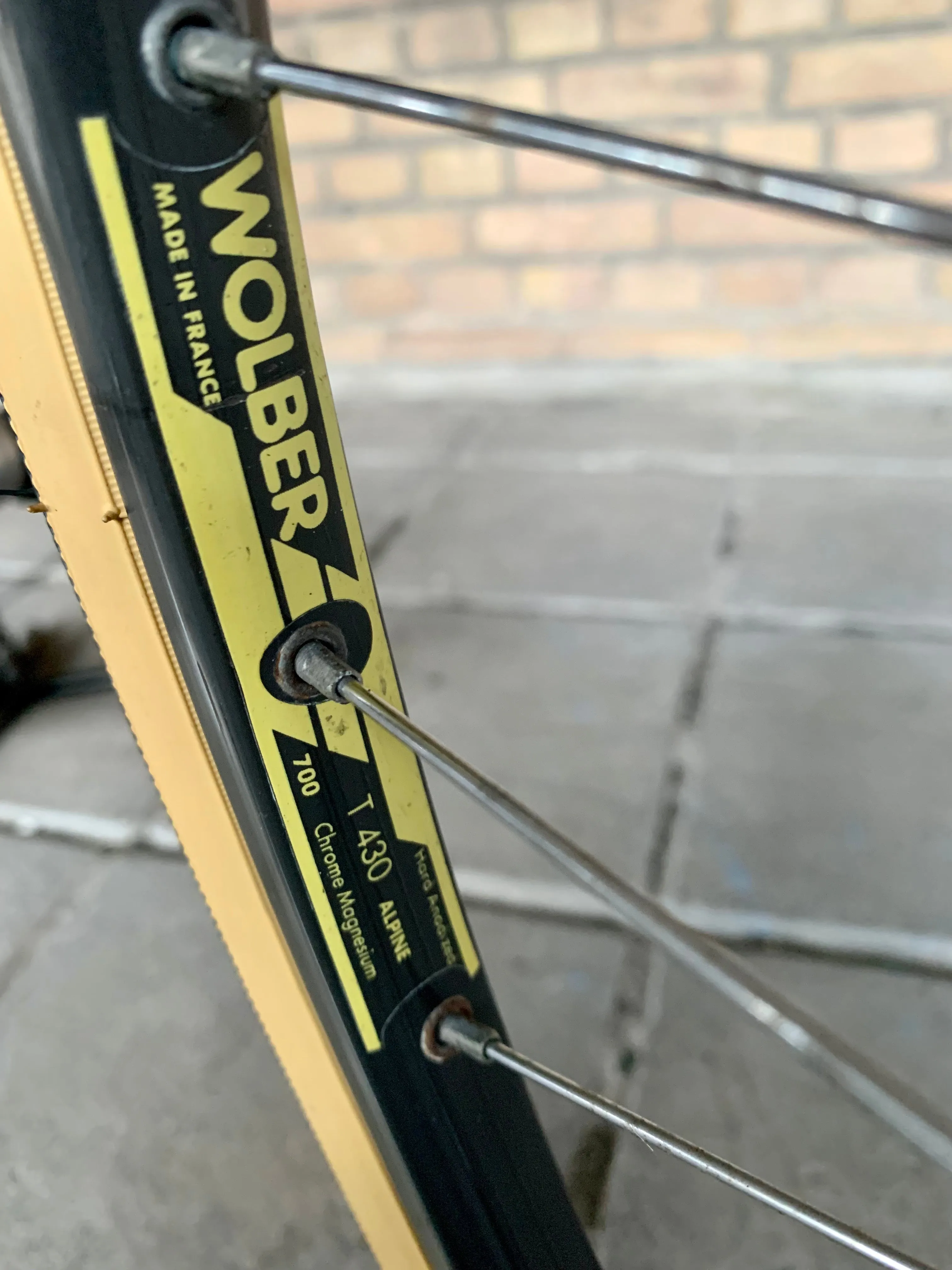 Gazelle Race Trophy 60 cm Shimano 105