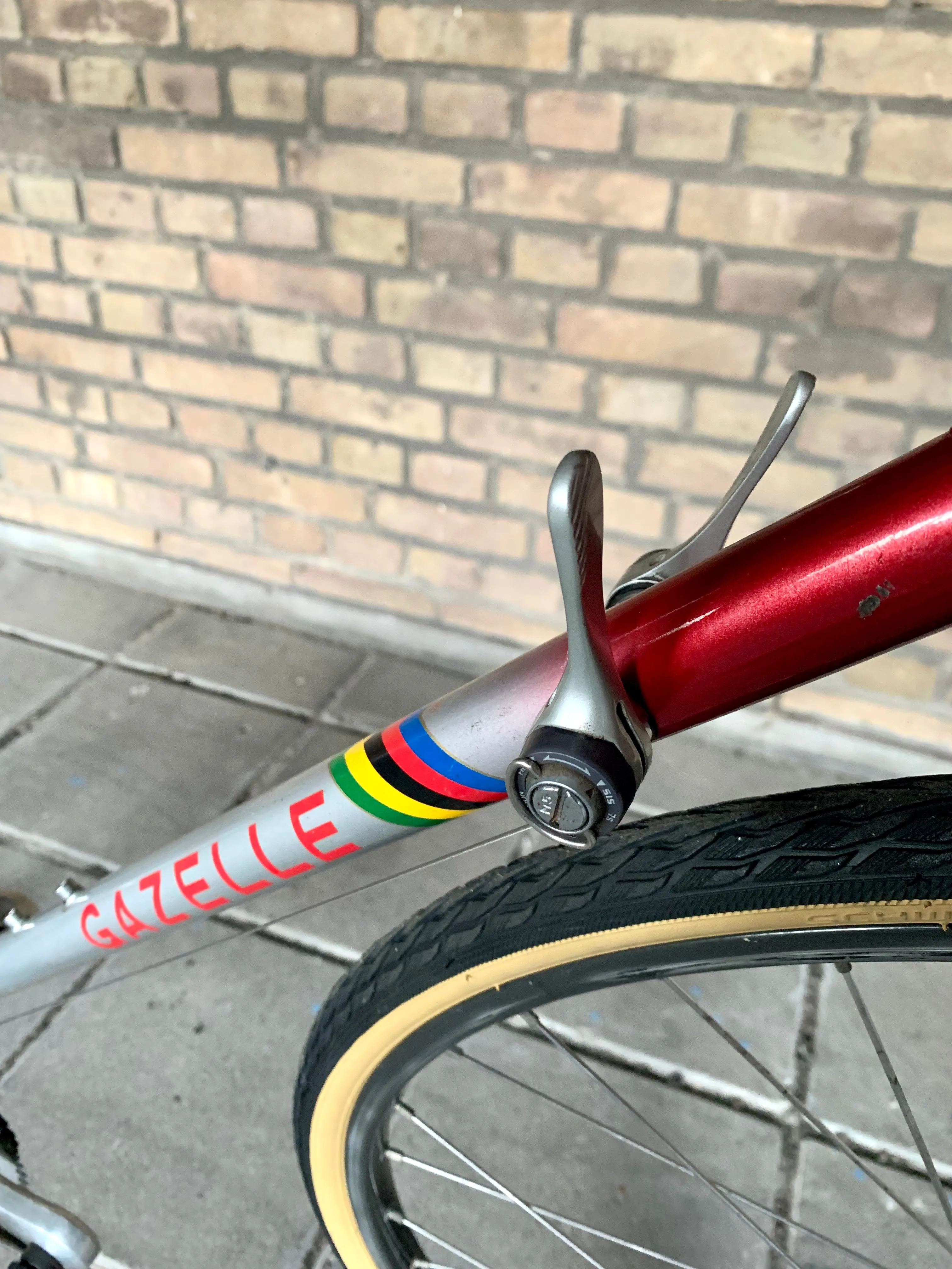 Gazelle Race Trophy 60 cm Shimano 105