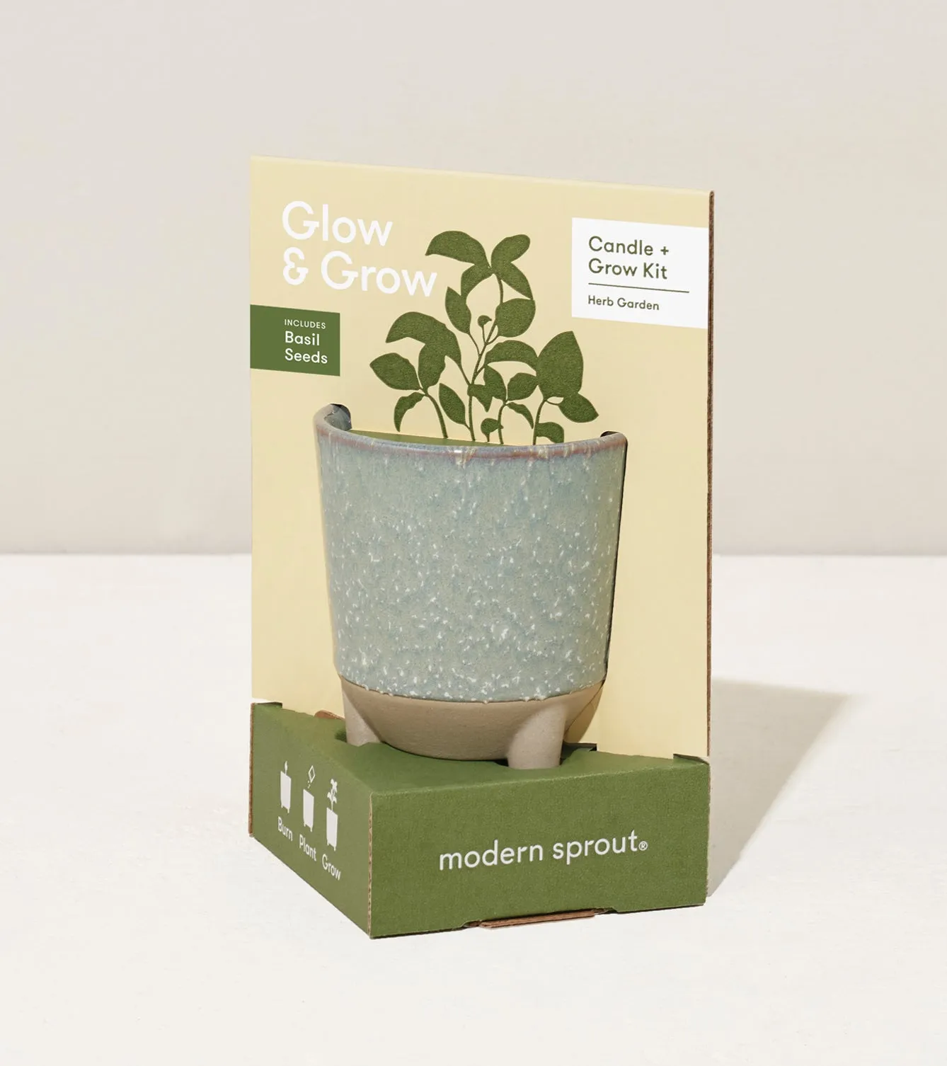 Glow & Grow Kits