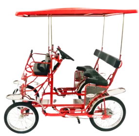 Surrey Deluxe Quadricycle