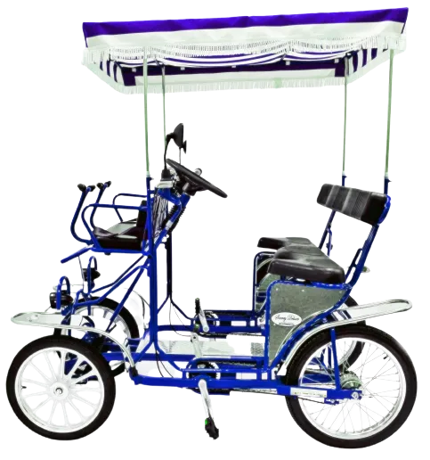 Surrey Deluxe Quadricycle