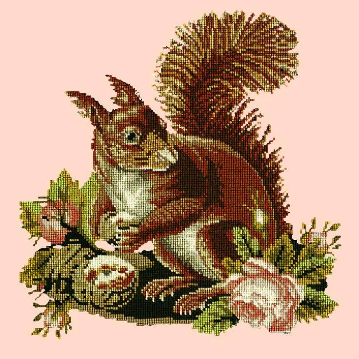 The Squirrel
