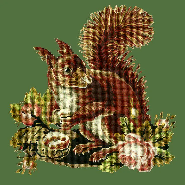 The Squirrel