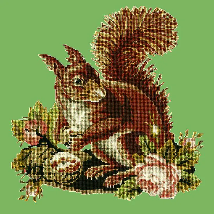 The Squirrel