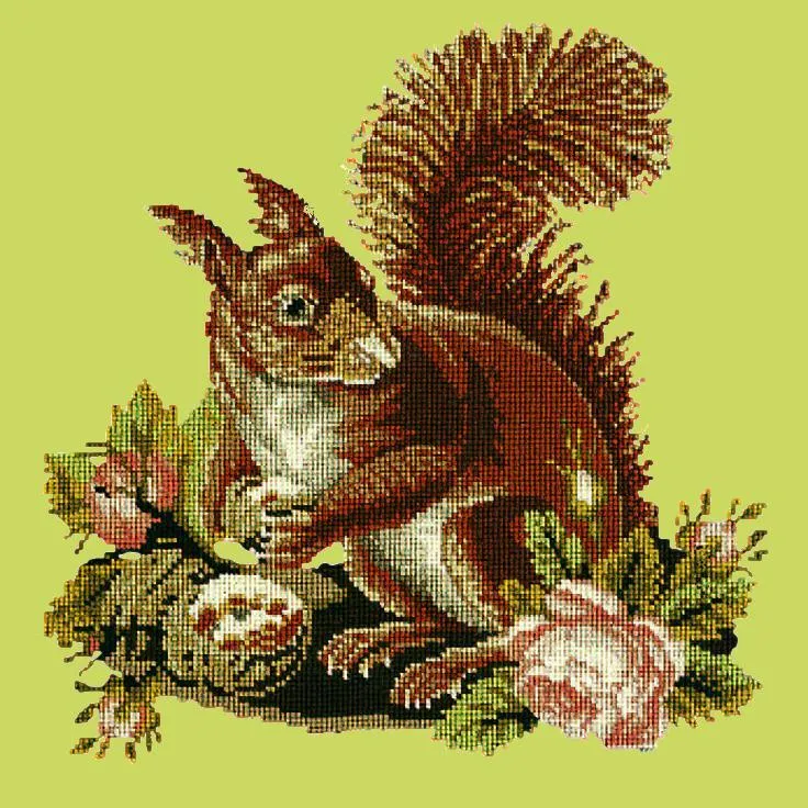 The Squirrel