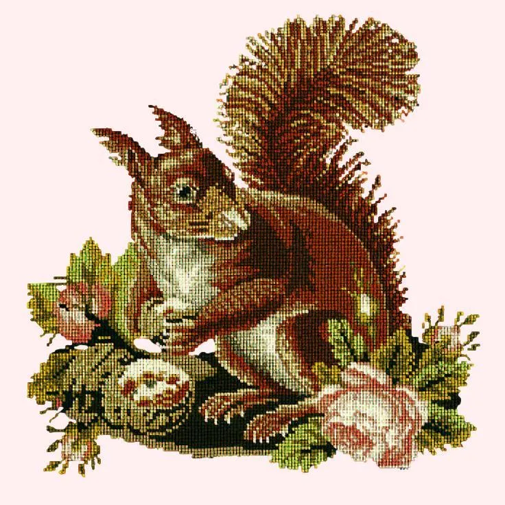 The Squirrel