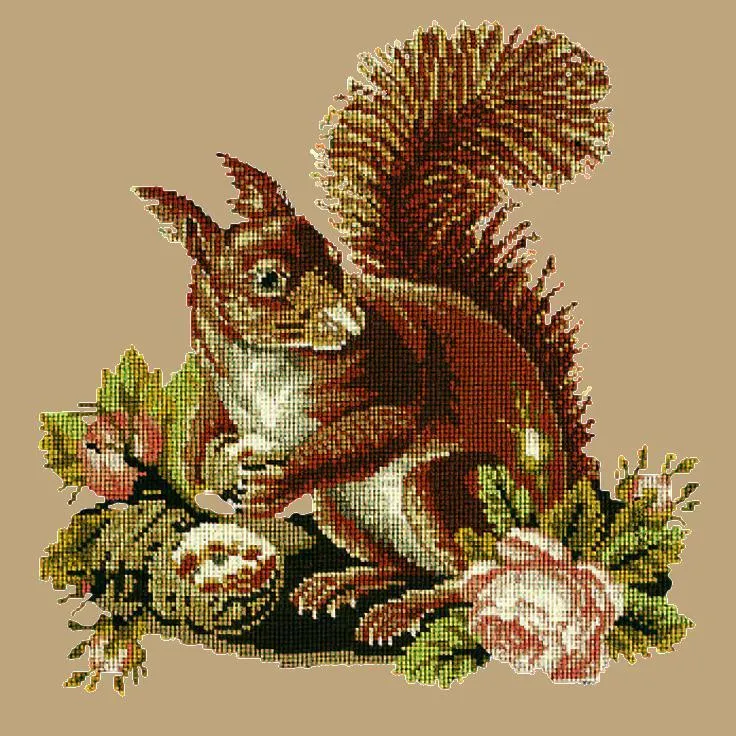 The Squirrel