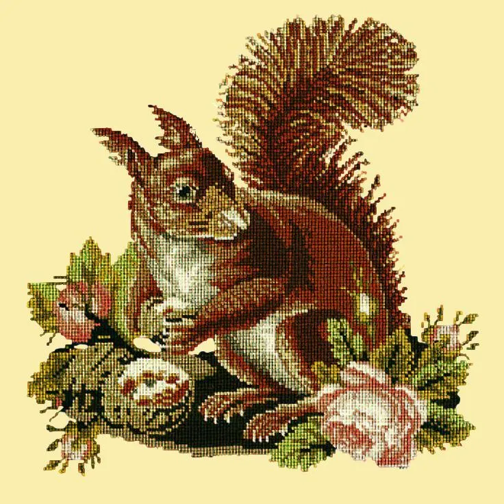 The Squirrel