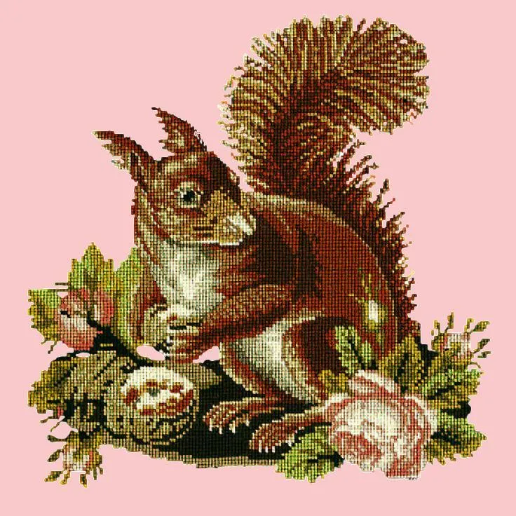 The Squirrel