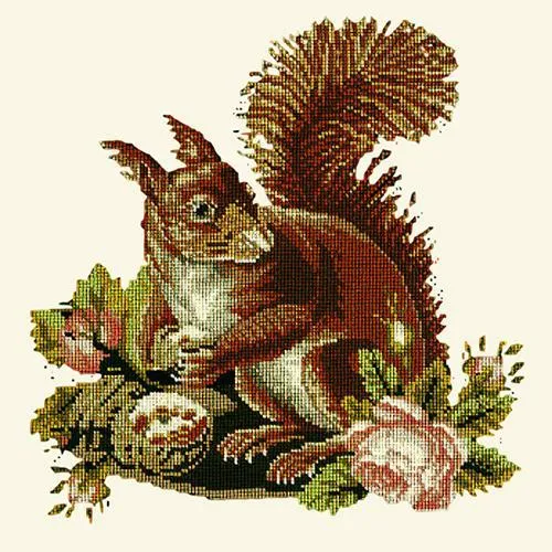 The Squirrel