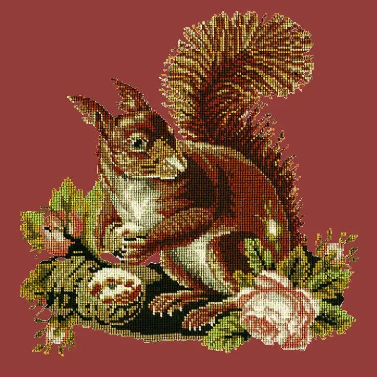 The Squirrel