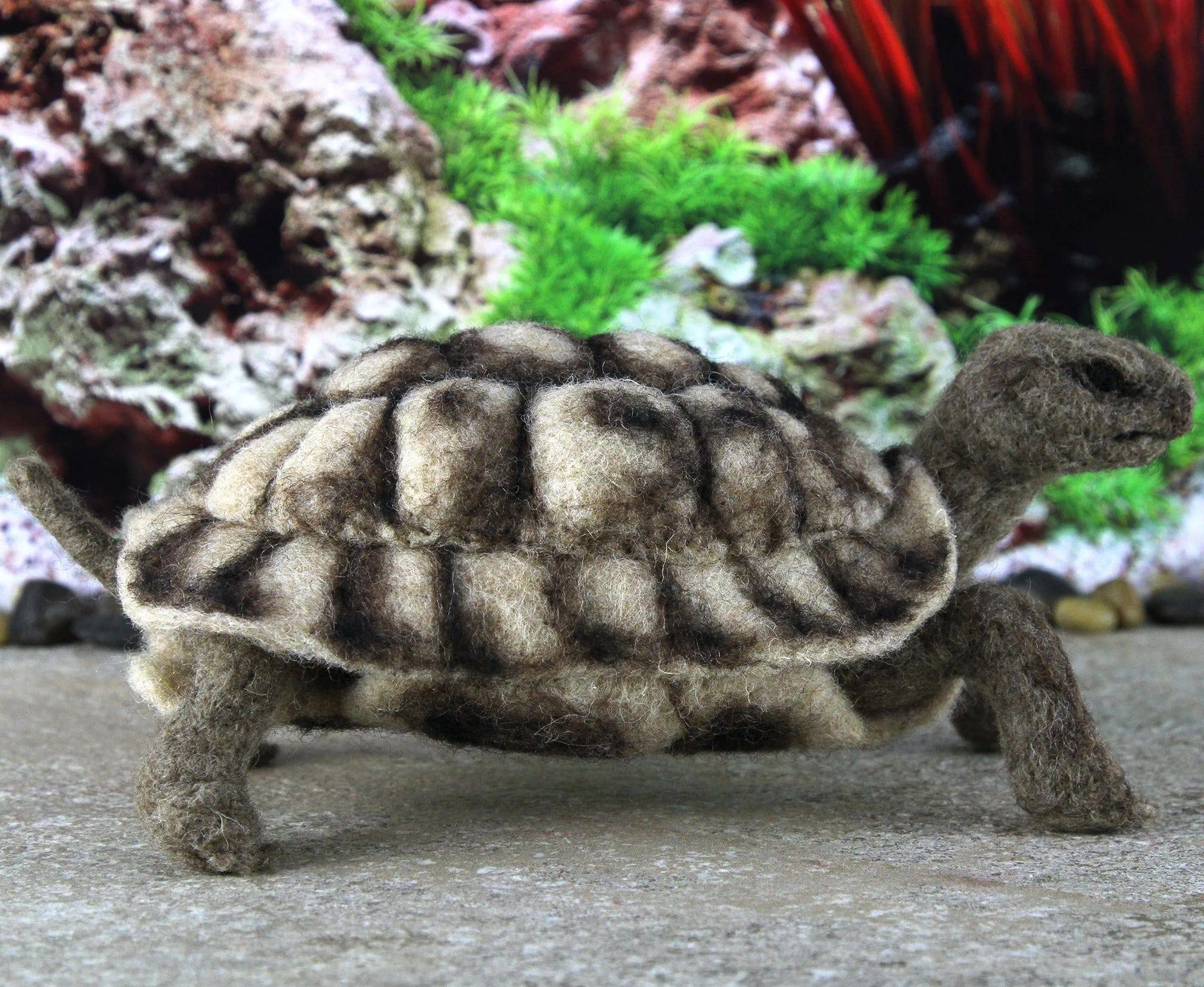 Toto The Tortoise | Needle Felting Kit