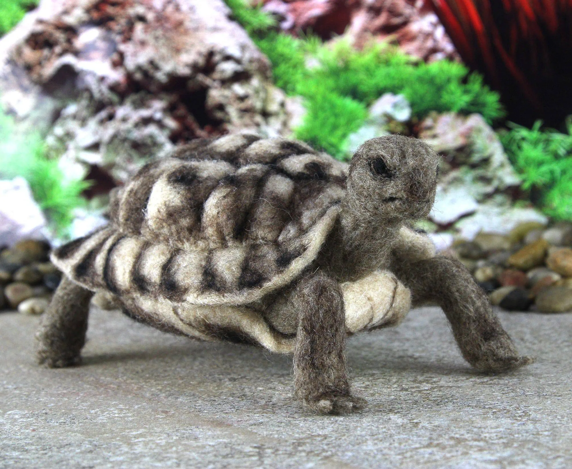 Toto The Tortoise | Needle Felting Kit